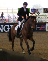 conti ii bf at sihs7